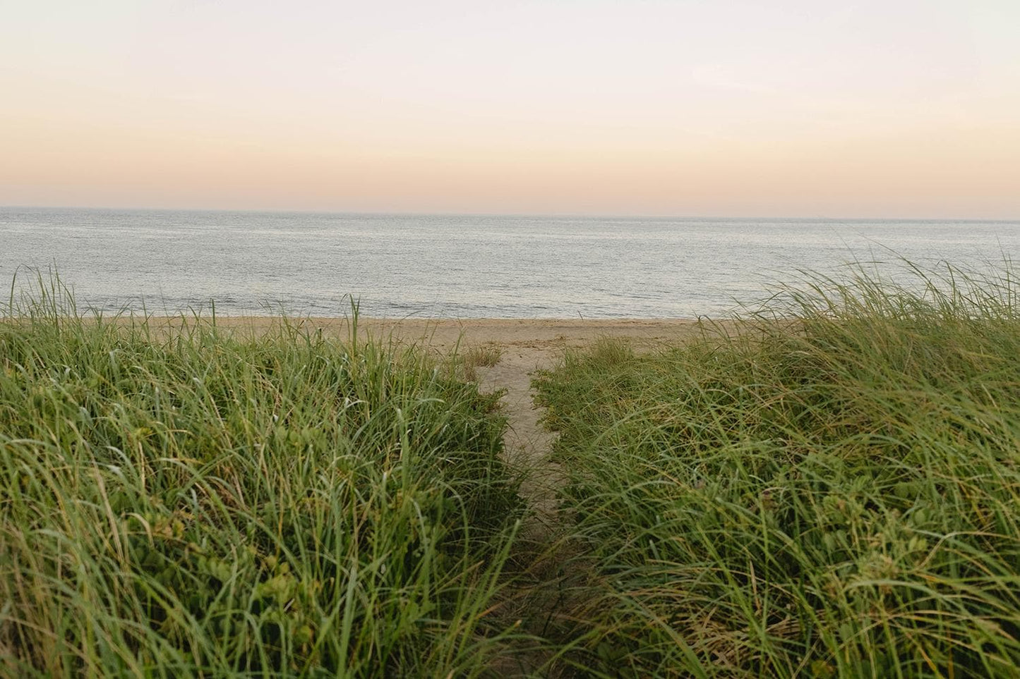 Coastal Beach Path Photography Print, New England Dunes Wall Art, Soft Ocean Landscape, Coastal Grandmother Decor, Nantucket Cape Cod Style