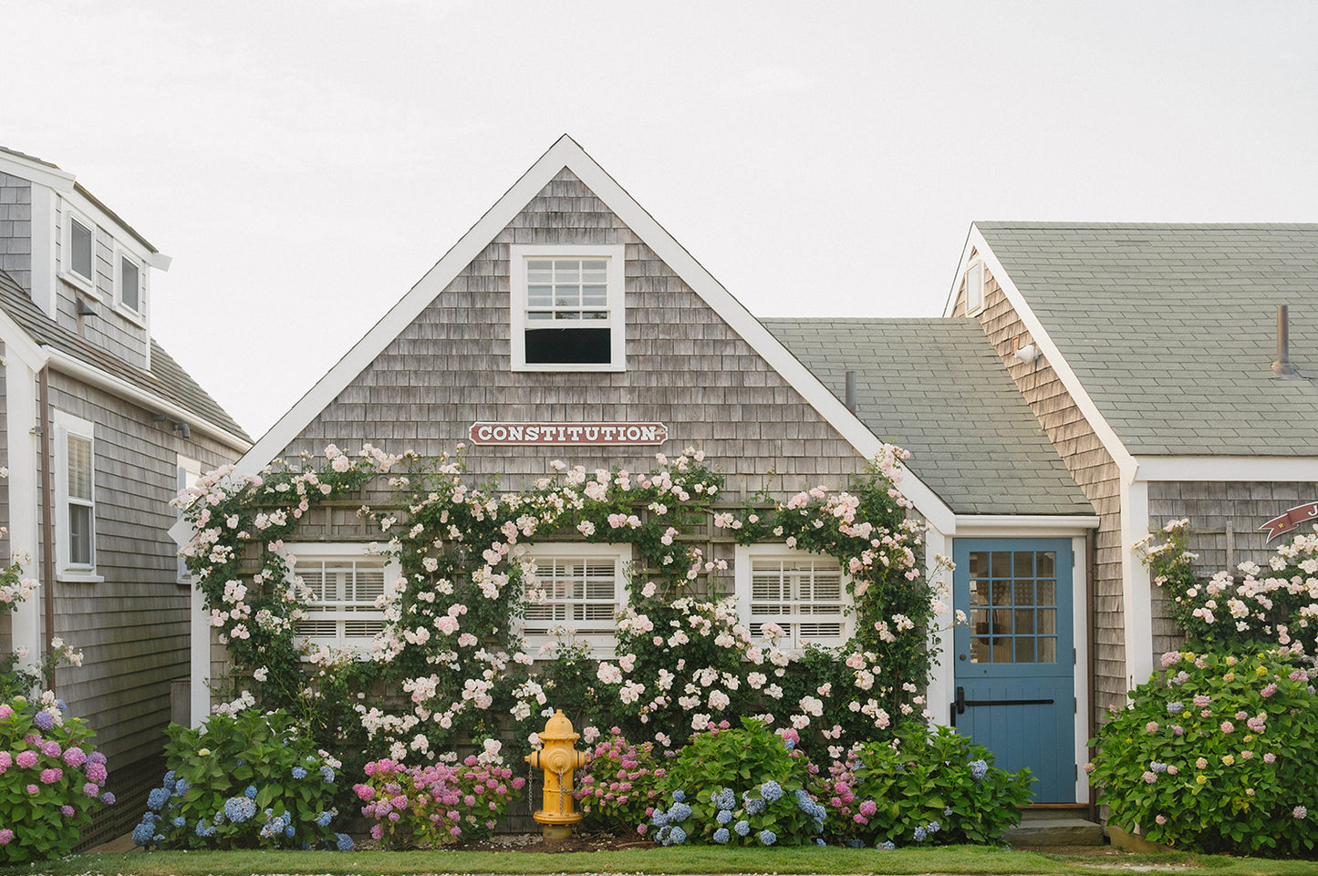 Old North Wharf Cottage, Nantucket – Coastal Hydrangea ACK Wall Art Print