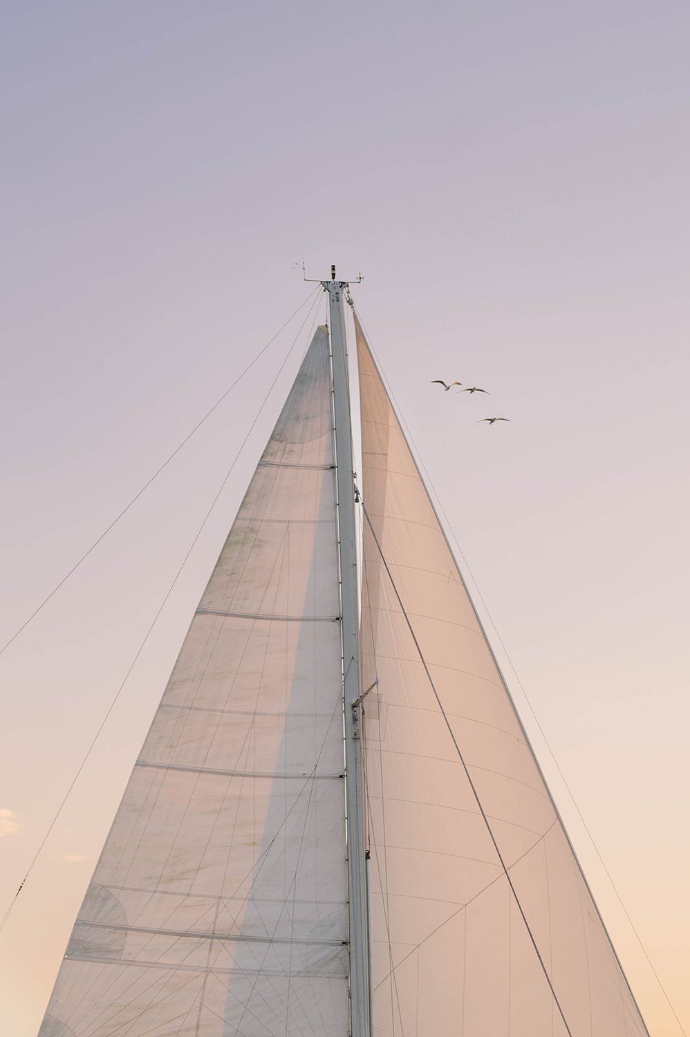 Nantucket Sailboat Mast Print, Minimal Coastal Wall Art with Birds in Flight, Chelsea Victoria Photography