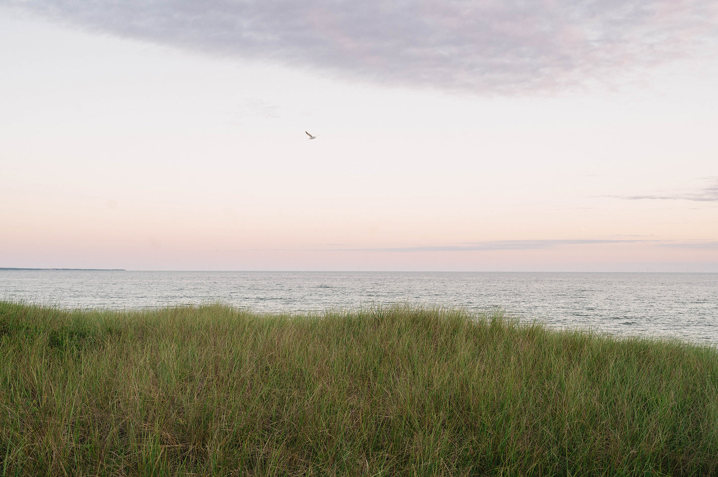 Pastel Horizon Over Dune Grass – Coastal Martha’s Vineyard Photography Print