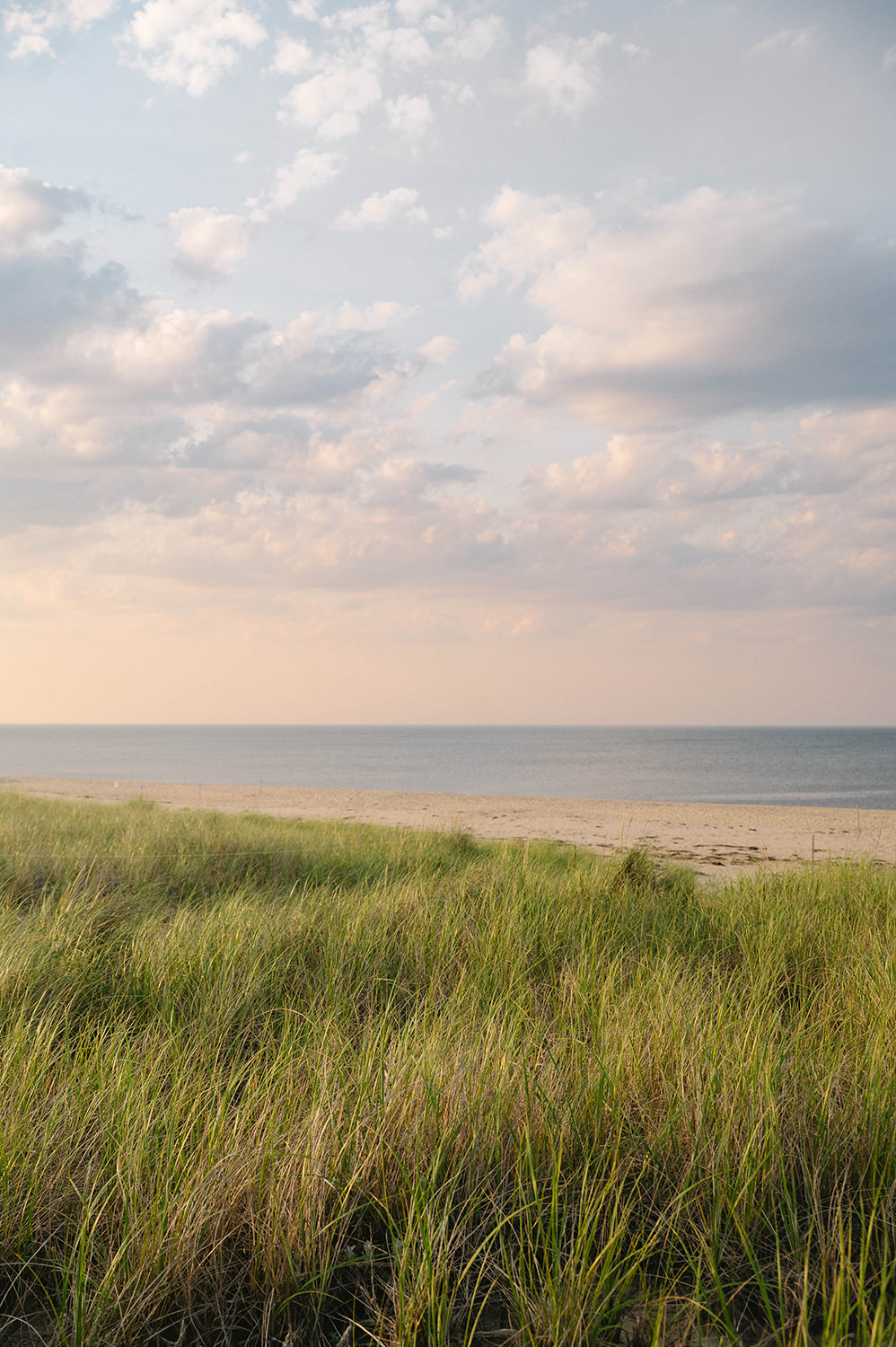 Cape Cod Beach Print, Coastal Wall Art, Ocean Photography, Seaside Dunes Artwork, Summer Shoreline Decor (Copy)