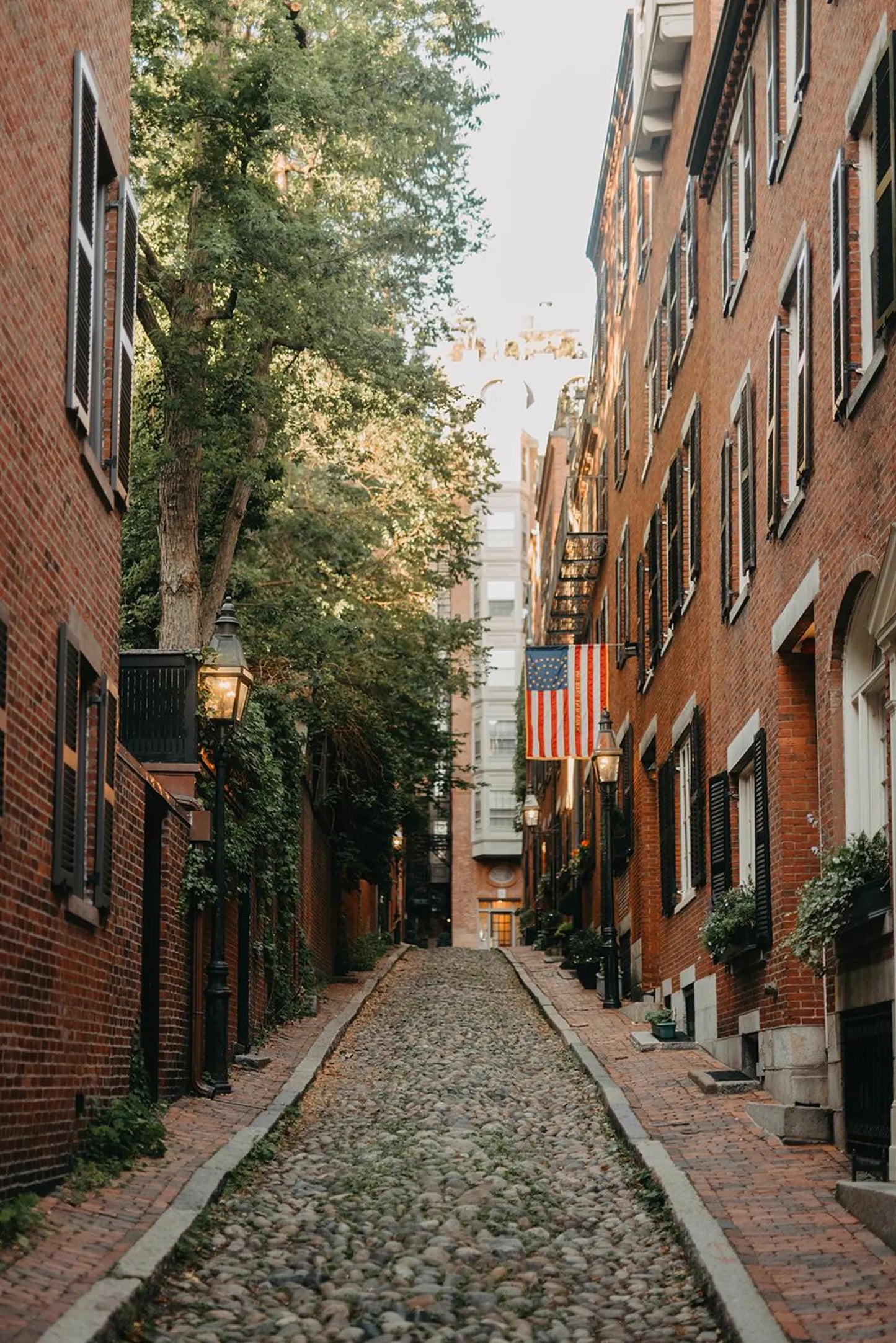 Fine Art Boston Print – Acorn Street Wall Art, Historic New England Photography, Nature-Inspired Decor, Gift for Boston and Art Lovers
