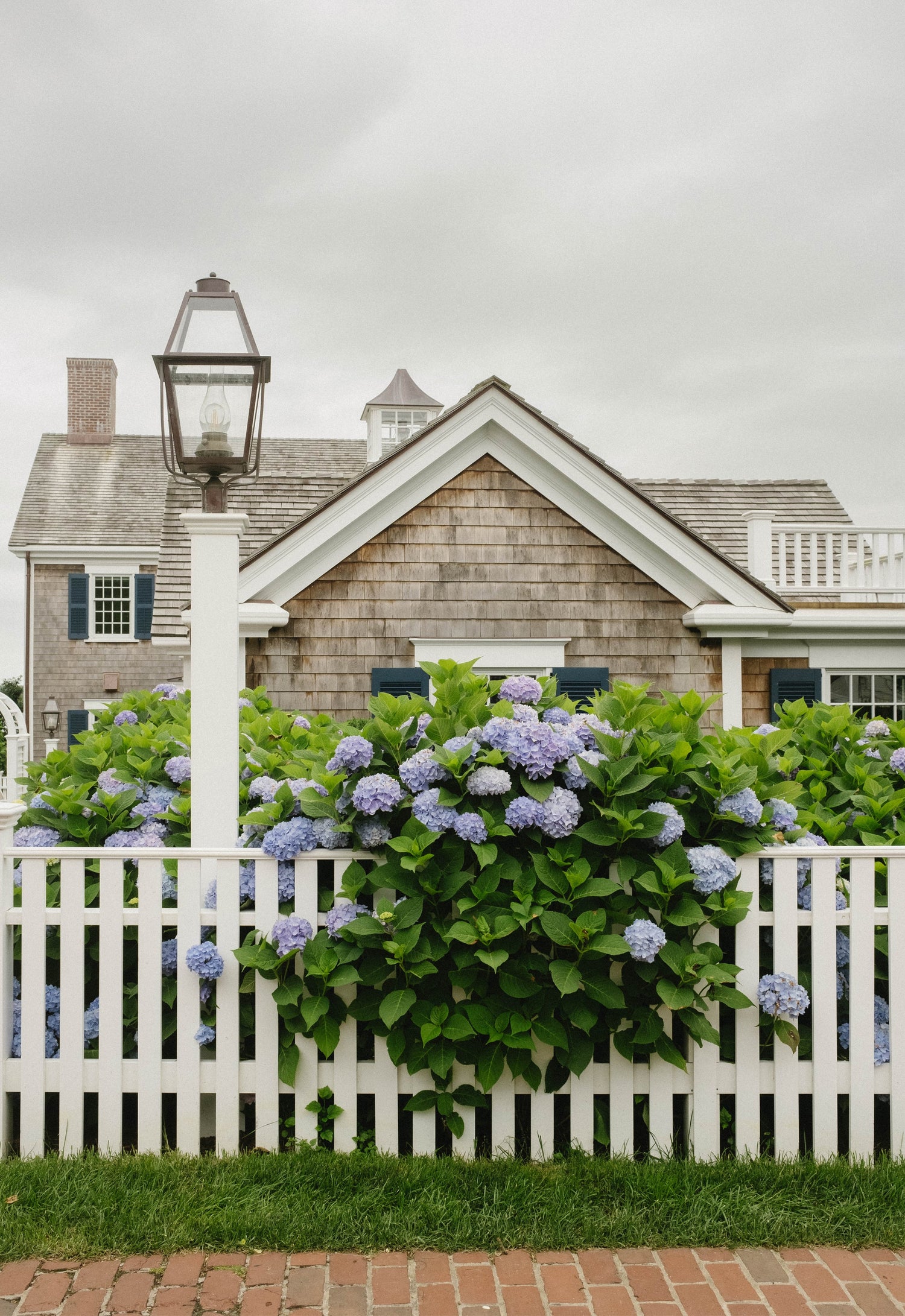 martha's vineyard & cape cod