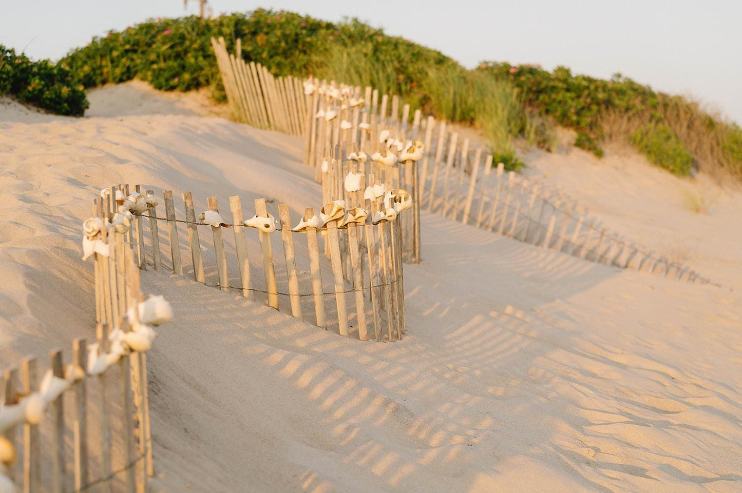 Madaket Beach Fence Print, Nantucket Coastal Wall Art, Neutral Sand Dune Photography, New England Summer Home Decor