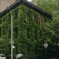 Greenwich Village Rainy Day Print – Ivy-Covered NYC Brownstone, Fine Art Photography, Moody New York Street Scene Wall Art