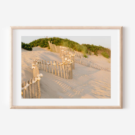 Madaket Beach Fence Print, Nantucket Coastal Wall Art, Neutral Sand Dune Photography, New England Summer Home Decor