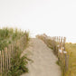 Madaket Beach Fence Print, Nantucket Coastal Wall Art, Neutral Sand Dune Photography, New England Summer Home Decor