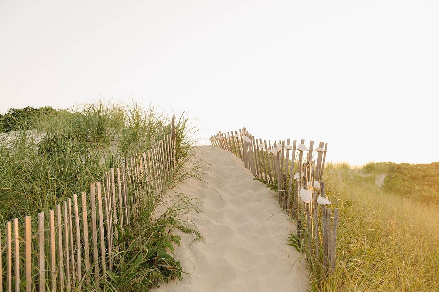 Madaket Beach Fence Print, Nantucket Coastal Wall Art, Neutral Sand Dune Photography, New England Summer Home Decor