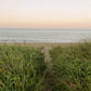 Coastal Beach Path Photography Print, New England Dunes Wall Art, Soft Ocean Landscape, Coastal Grandmother Decor, Nantucket Cape Cod Style