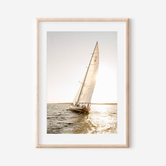 Golden Sailboat Wall Art Print, Coastal Nautical Photography, Newport Harbor Ocean Print, Sailing Fine Art, Beach House Wall Decor