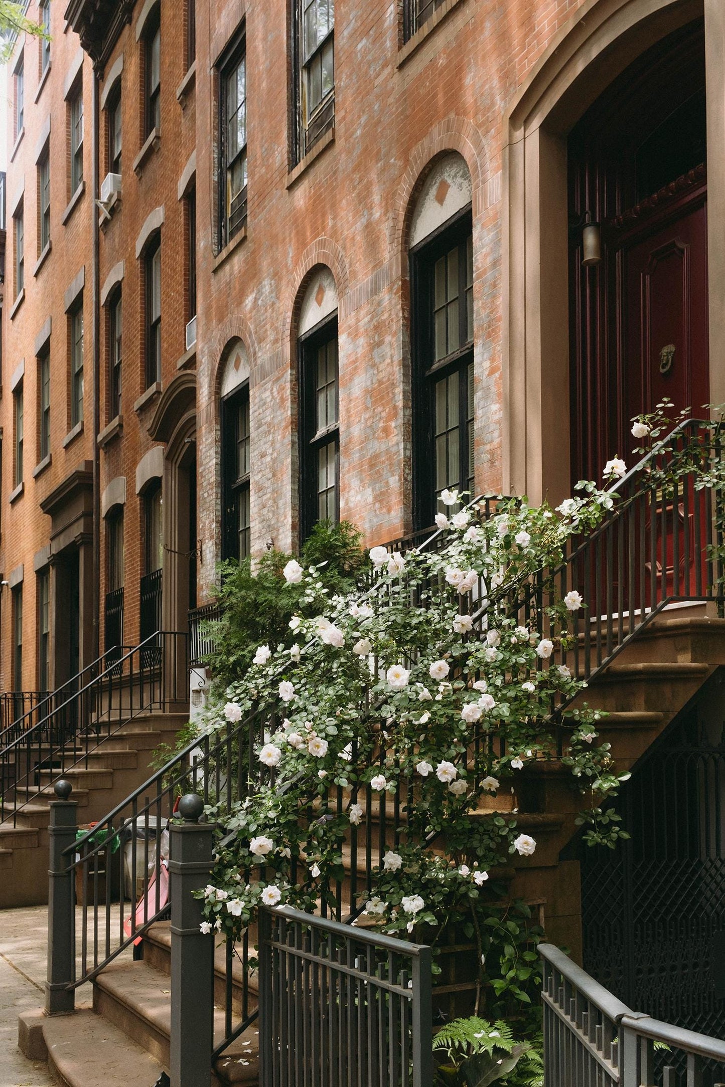 West Village Floral Brownstone Print – NYC Fine Art Photography, Romantic New York Architecture Wall Art, White Roses on Stoop