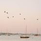 Seaside Sunrise Print, Coastal Wall Art, Harbor Birds Over Sailboats, Nantucket Photography
