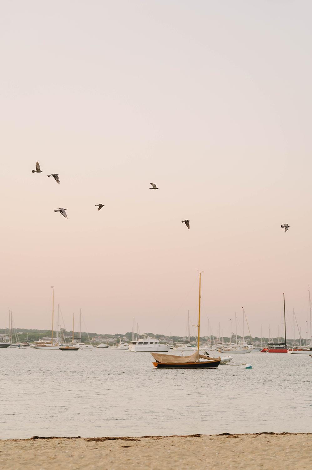 Seaside Sunrise Print, Coastal Wall Art, Harbor Birds Over Sailboats, Nantucket Photography