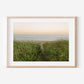 Coastal Beach Path Photography Print, New England Dunes Wall Art, Soft Ocean Landscape, Coastal Grandmother Decor, Nantucket Cape Cod Style