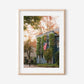 Georgetown Fall Townhouse Print, Washington DC Autumn Photography, American Flag Wall Art, Historic Brick Home Decor, East Coas Art Print