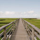 Greys Beach Boardwalk Print, Cape Cod Wall Art, Coastal Nature Photography, Marsh Landscape Photo, Yarmouth Massachusetts Art