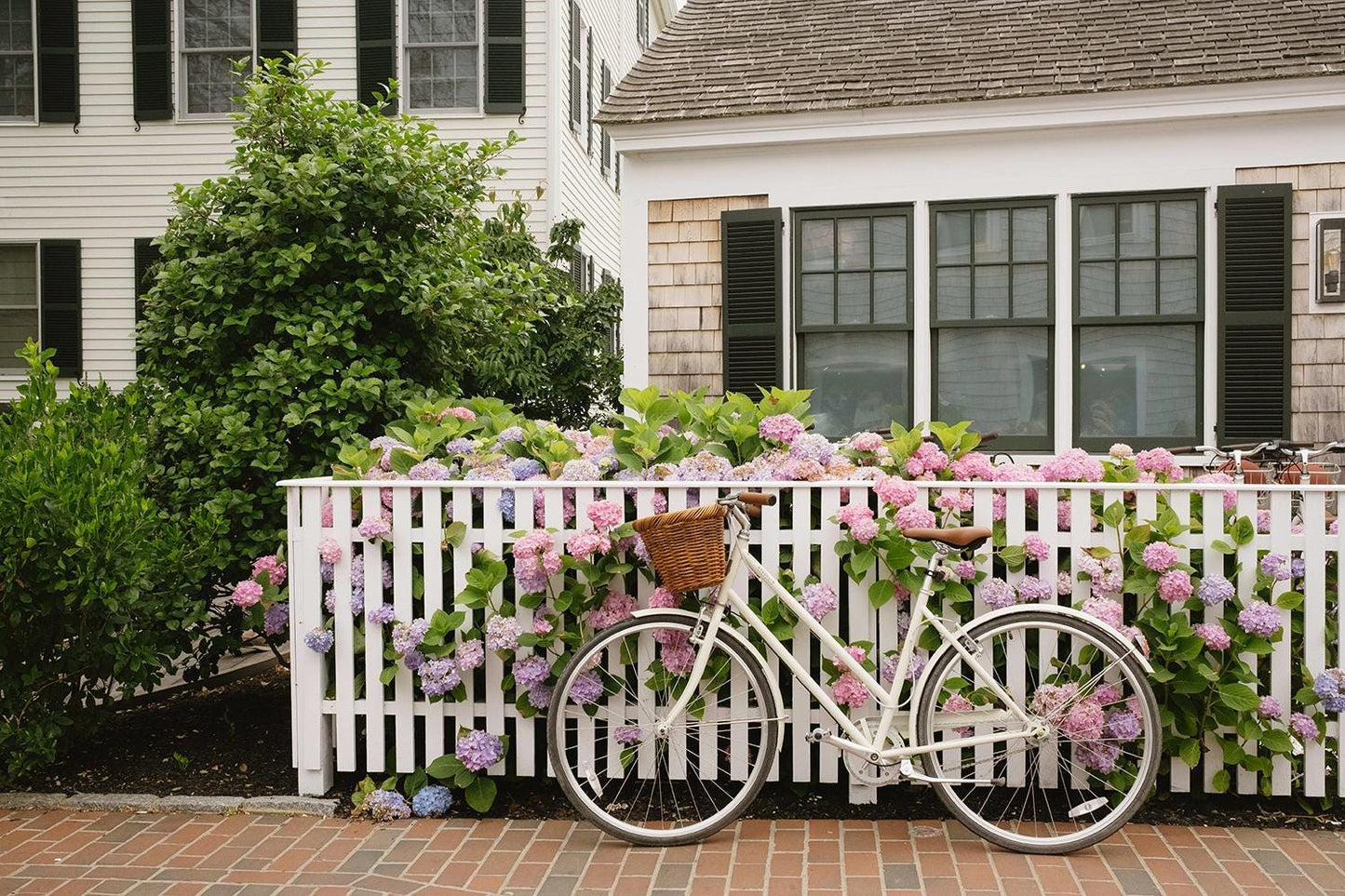 Marthas Vineyard Photography – Bicycle and Coastal Charm Wall Art, New England Decor, Nature-Inspired Print, Gift for Beach and Art Lovers