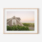 Sconset Cottage with Roses – Nantucket Coastal Wall Art