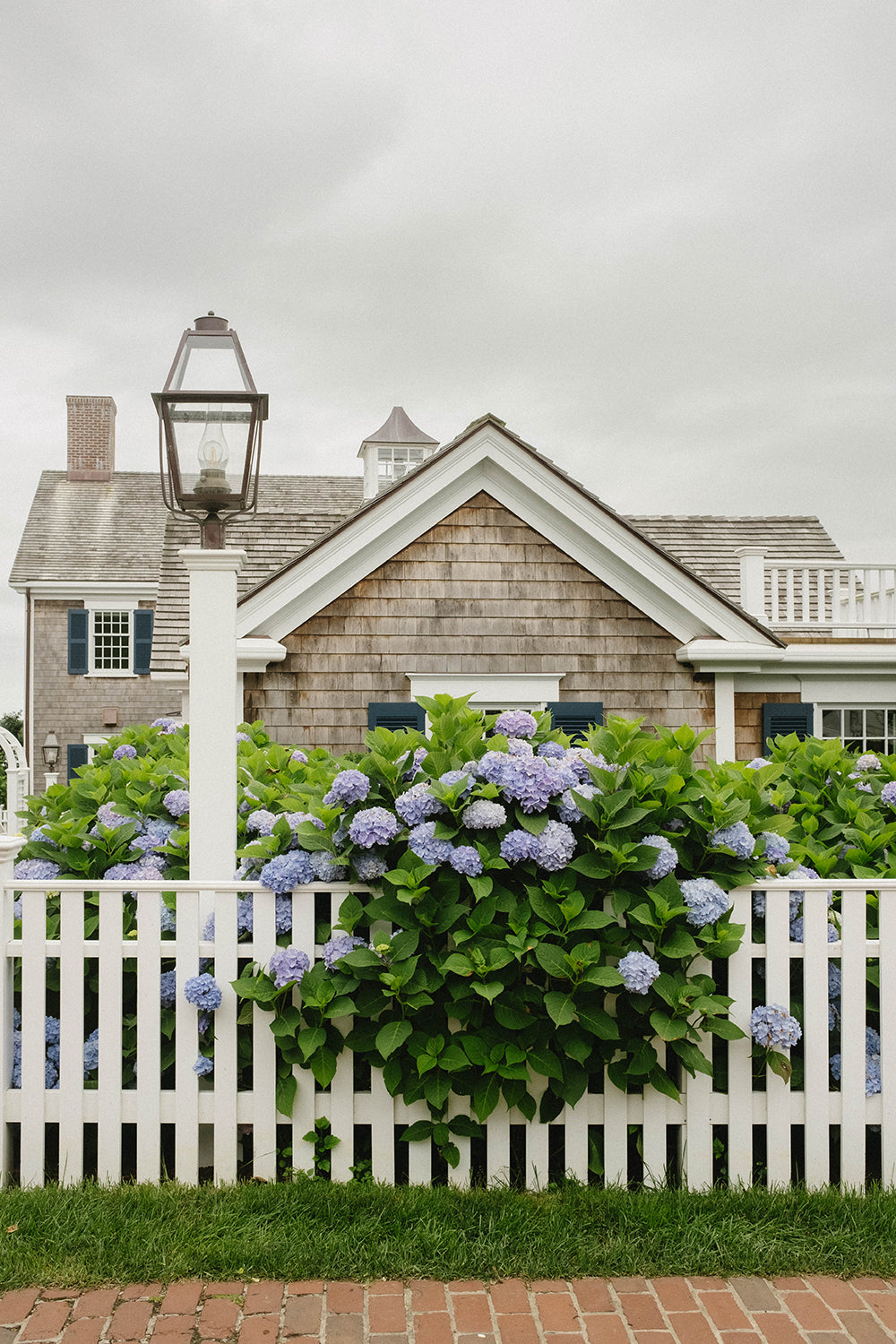 Blue Hydrangeas and Shingled Cottage in Edgartown – Martha’s Vineyard Fine Art Coastal Print