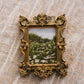 Vintage Gold Frame Wildflower Print, Daisy Field Photography, Cottagecore Wall Art, Neutral Floral Decor