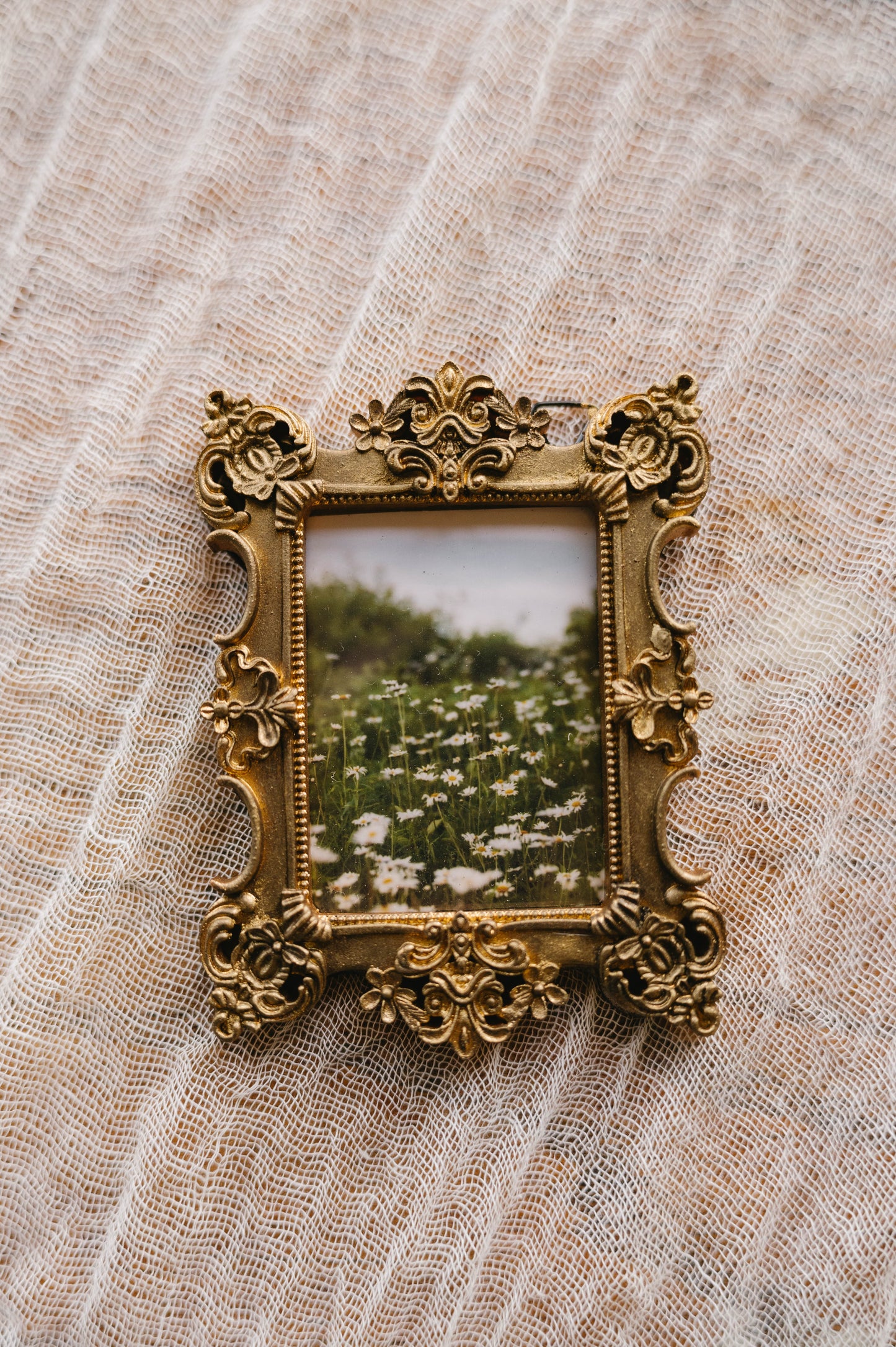Vintage Gold Frame Wildflower Print, Daisy Field Photography, Cottagecore Wall Art, Neutral Floral Decor