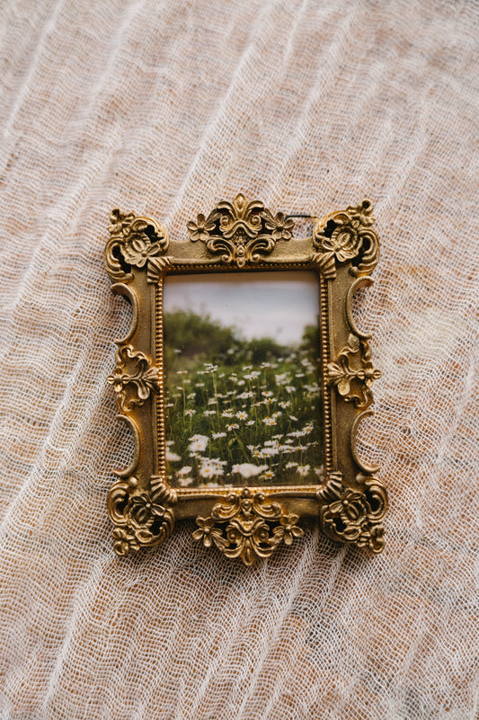 Vintage Gold Frame Wildflower Print, Daisy Field Photography, Cottagecore Wall Art, Neutral Floral Decor