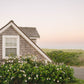 Sconset Cottage with Roses – Nantucket Coastal Wall Art