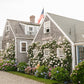 Constitution Cottage, Nantucket – Rose-Covered Shingle Home Fine Art Print