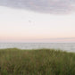 Pastel Horizon Over Dune Grass – Coastal Martha’s Vineyard Photography Print