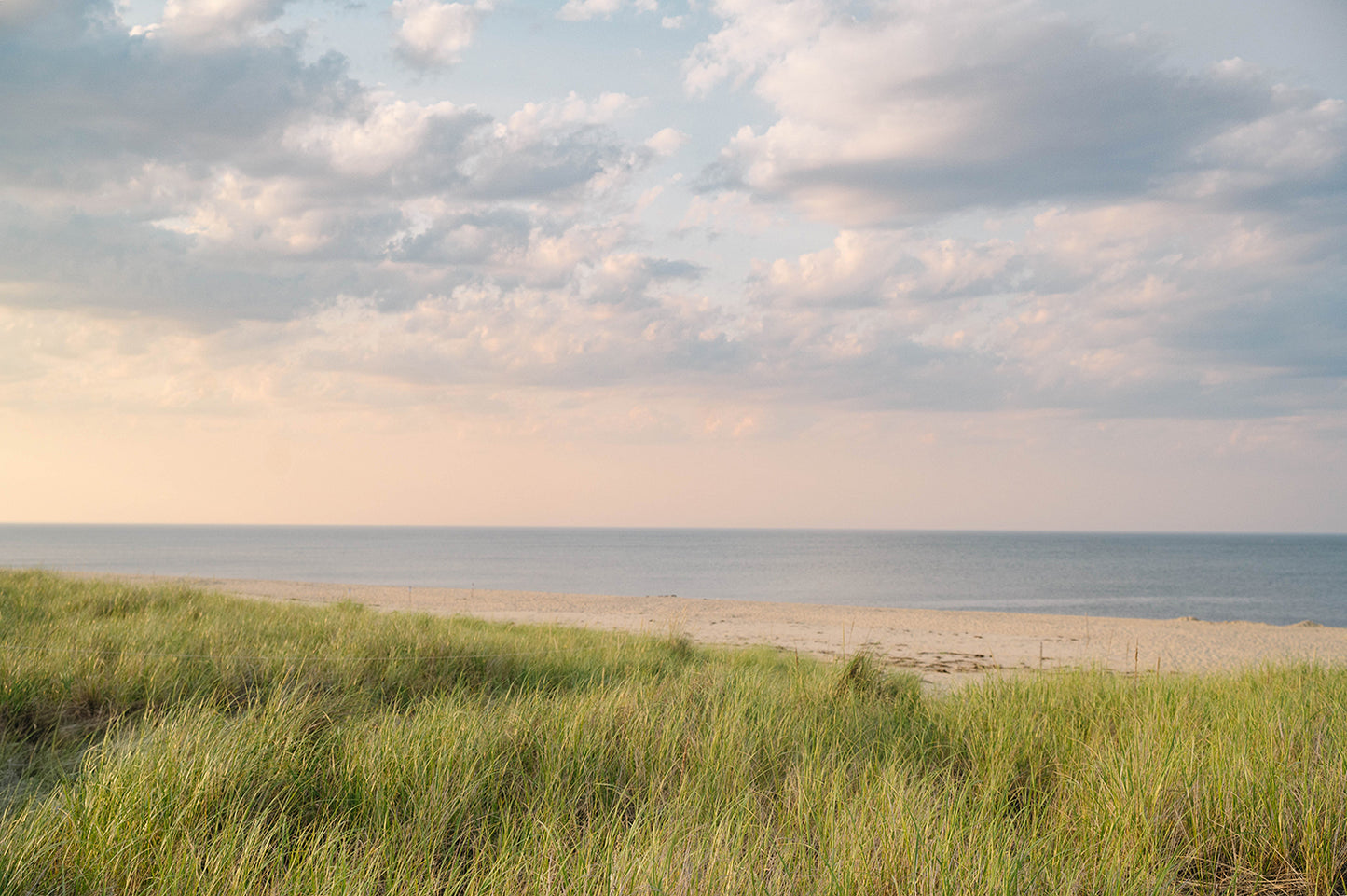 Cape Cod Beach Print, Coastal Wall Art, Ocean Photography, Seaside Dunes Artwork, Summer Shoreline Decor