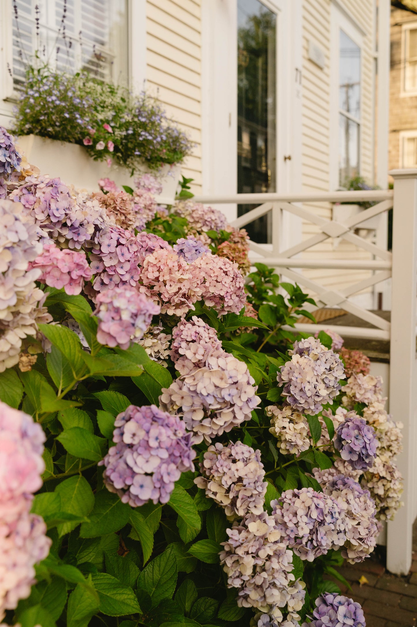 Fine Art Nantucket Photography – Cape Cod Charm Wall Art, New England Coastal Decor, Ocean Landscape Print, Gift for Beach Lovers