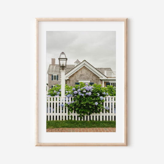 Blue Hydrangeas and Shingled Cottage in Edgartown – Martha’s Vineyard Fine Art Coastal Print