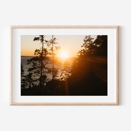 Bar Harbor Maine Photography – Acadia National Park Wall Art, Coastal Landscape Print, Nature-Inspired Decor, Gift for Outdoor Lovers