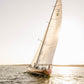 Golden Sailboat Wall Art Print, Coastal Nautical Photography, Newport Harbor Ocean Print, Sailing Fine Art, Beach House Wall Decor