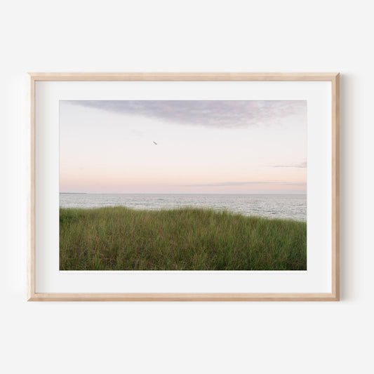 Pastel Horizon Over Dune Grass – Coastal Martha’s Vineyard Photography Print