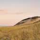 Cape Cod Dunes Print, Truro Beach Photography, Massachusetts Coastal Wall Art, Soft Sunset Ocean Decor, New England Print
