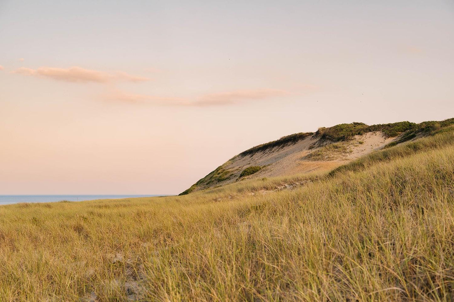 Cape Cod Dunes Print, Truro Beach Photography, Massachusetts Coastal Wall Art, Soft Sunset Ocean Decor, New England Print