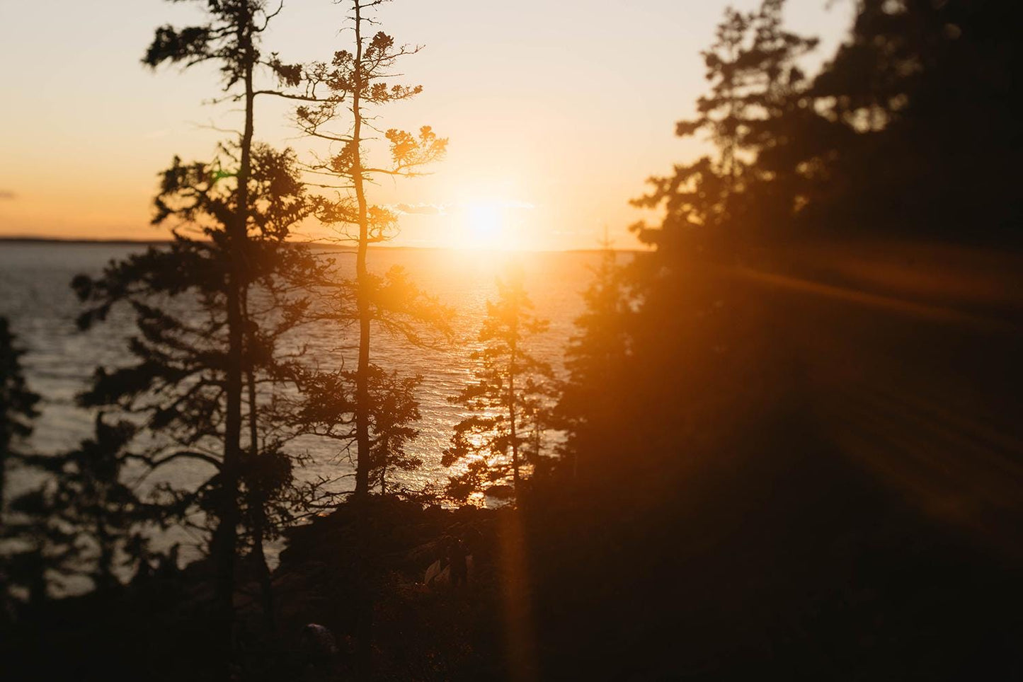 Bar Harbor Maine Photography – Acadia National Park Wall Art, Coastal Landscape Print, Nature-Inspired Decor, Gift for Outdoor Lovers