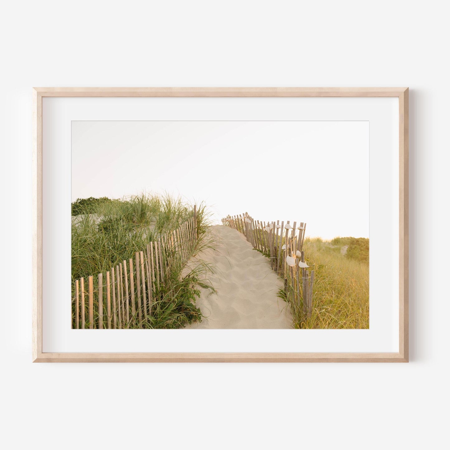 Madaket Beach Fence Print, Nantucket Coastal Wall Art, Neutral Sand Dune Photography, New England Summer Home Decor