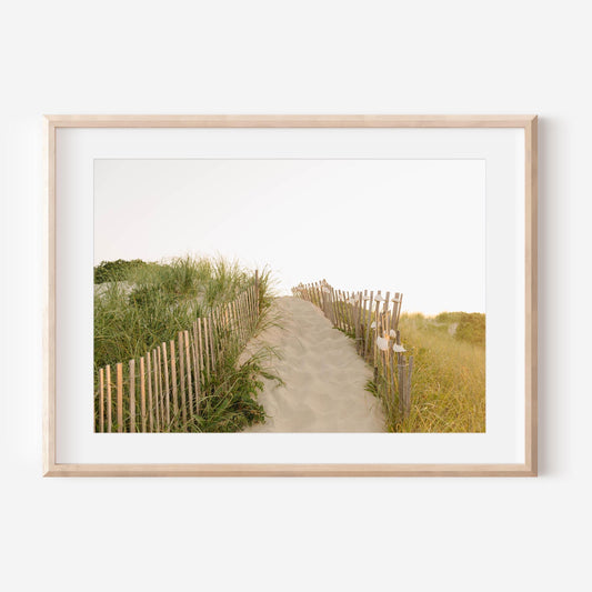 Madaket Beach Fence Print, Nantucket Coastal Wall Art, Neutral Sand Dune Photography, New England Summer Home Decor
