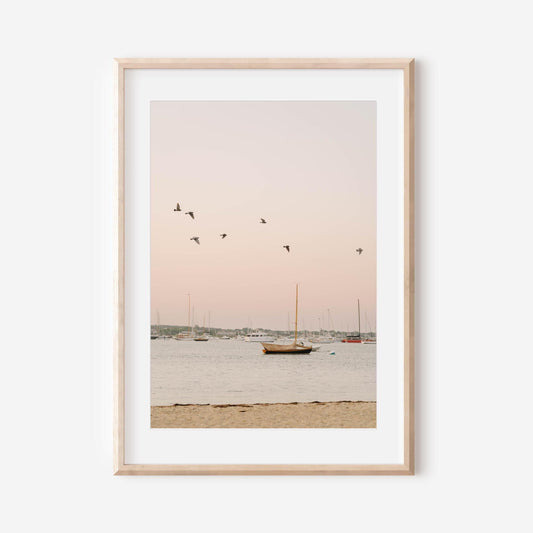 Seaside Sunrise Print, Coastal Wall Art, Harbor Birds Over Sailboats, Nantucket Photography