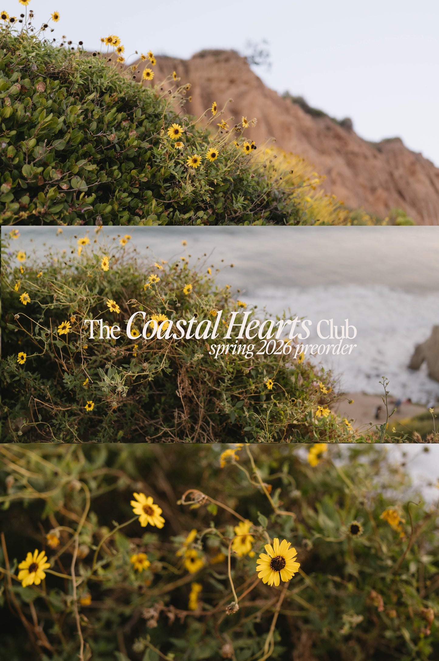 The Coastal Hearts Club