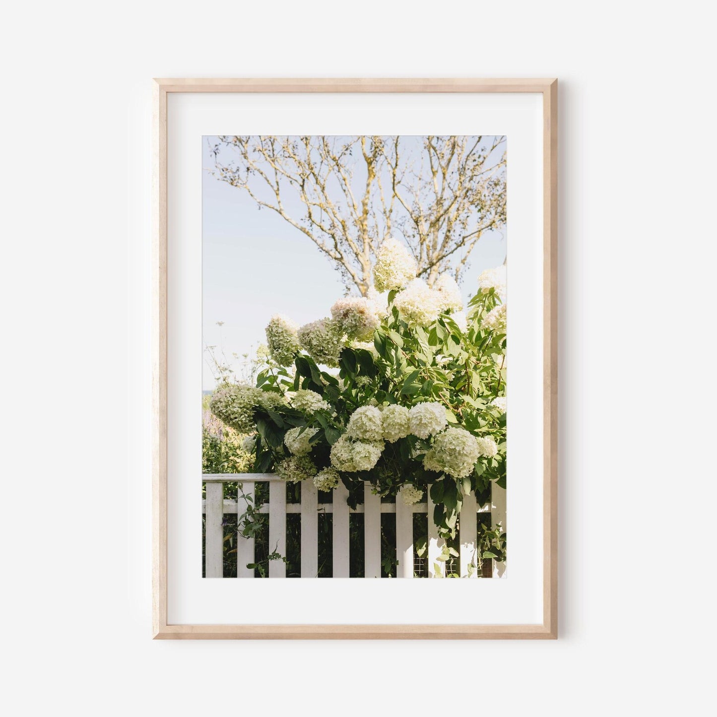 Fine Art Nantucket Photography – Cape Cod Charm Wall Art, New England Coastal Decor, Ocean Landscape Print, Gift for Beach Lovers