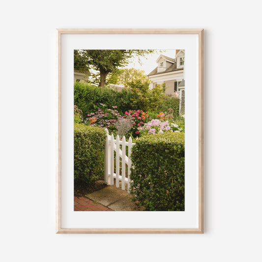 Nantucket Garden Print – White Picket Fence and Hydrangea Wall Art, Coastal Cottage Photography, Summer Floral Home Decor