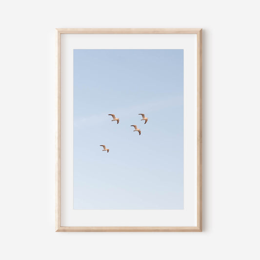 Seagull Wall Art Print, Coastal Sky Photography, Minimal Beach Decor, Soft Blue Coastal Art, Fine Art New England Print